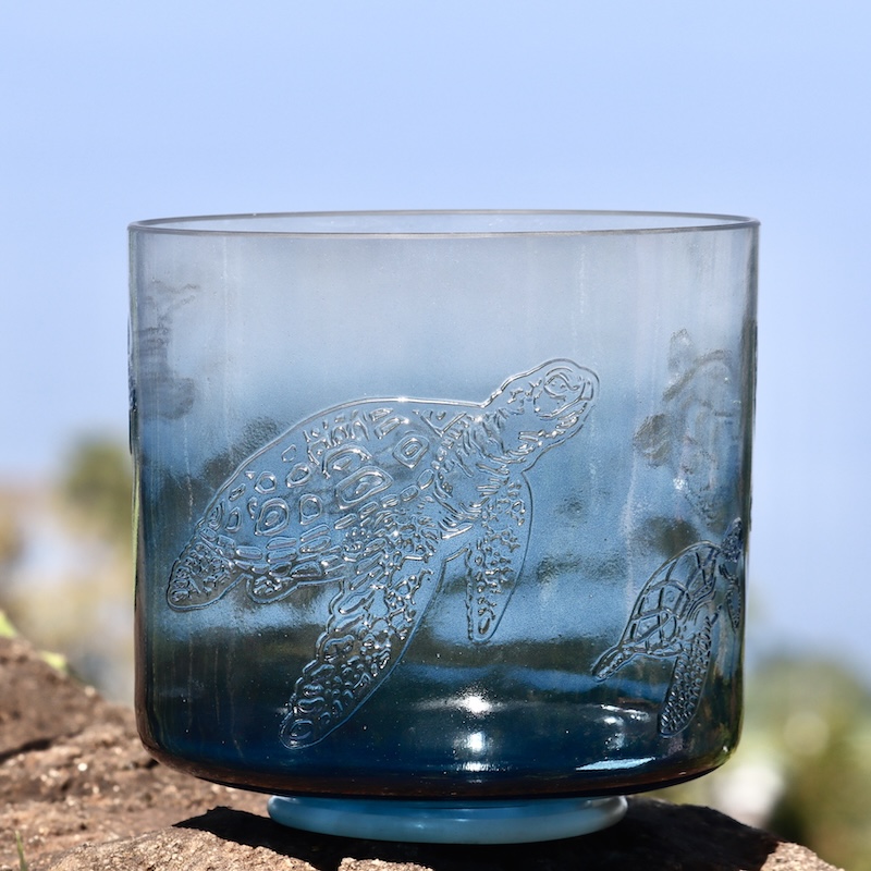 9" B+10 Zeal Point White Light Aura Gold (Rim) with Intricate Etched Sea Turtles - Image 5
